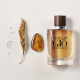 Giorgio Armani Acqua di Gio Absolu